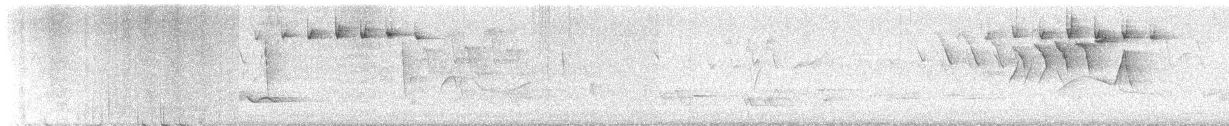 Paruline rayée - ML620365904