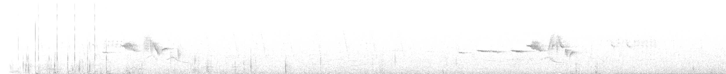 White-bellied Redstart - ML620366266