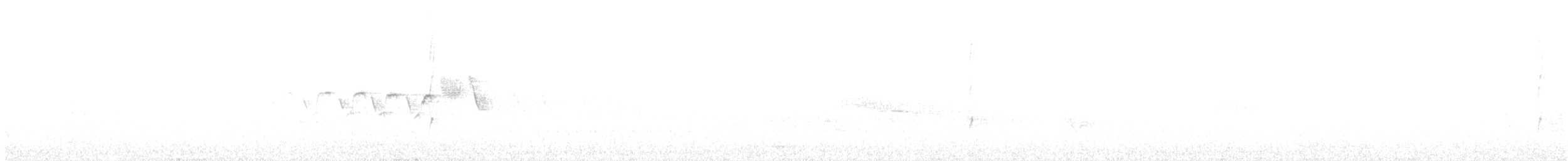 Black-throated Gray Warbler - ML620366547