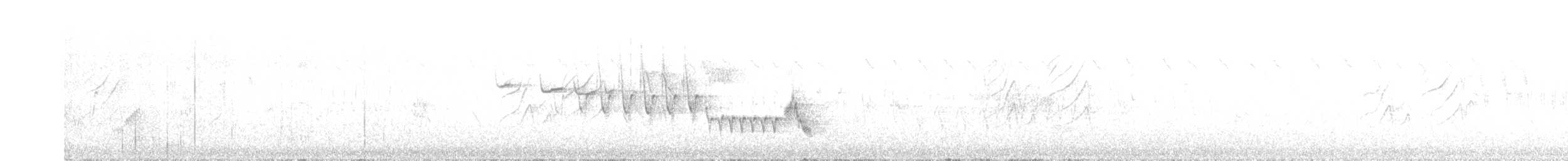 Txonta arrunta - ML620367101