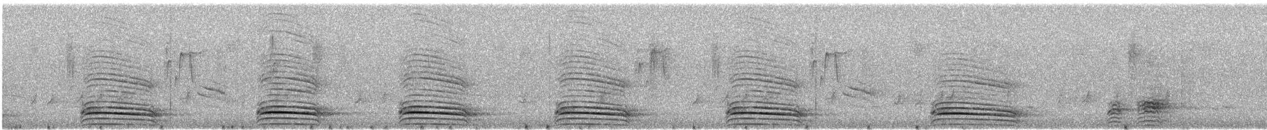 ベニジュケイ - ML620368408