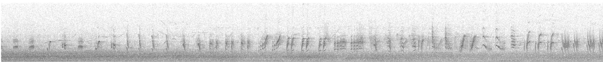 קנית קטנה - ML620369189