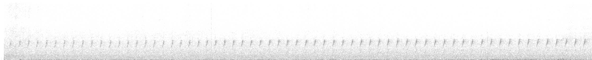 Тиранчик-довгохвіст білогорлий - ML620372163