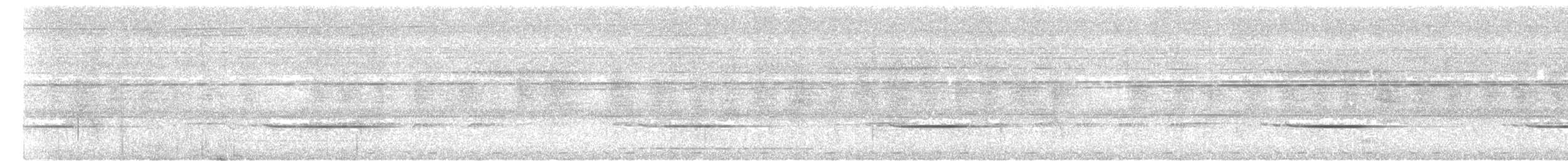 Striped Wren-Babbler - ML620372312