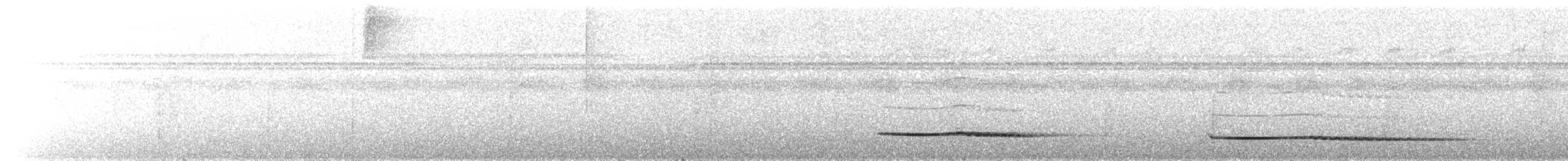 Little Tinamou - ML620372361