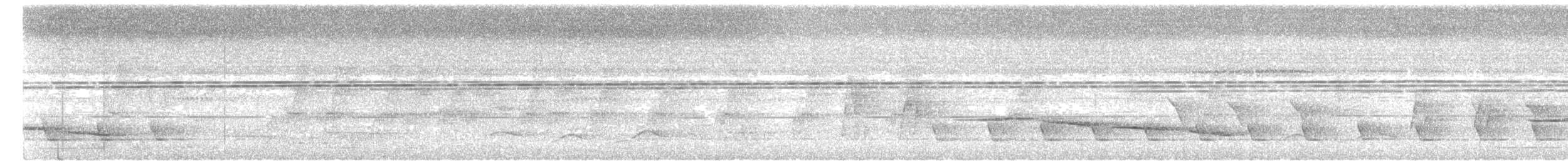 Усатый шелкопёр - ML620372663