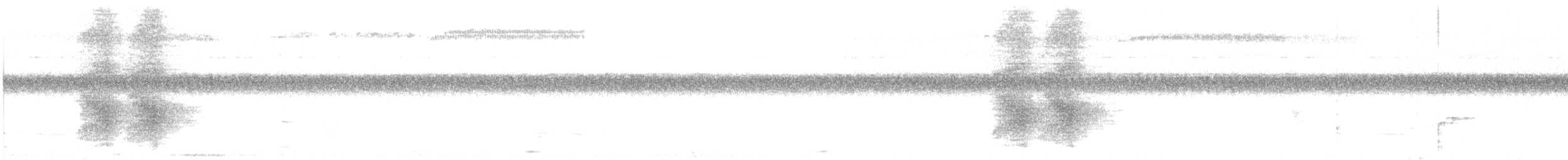 Racket-tailed Treepie - ML620373336