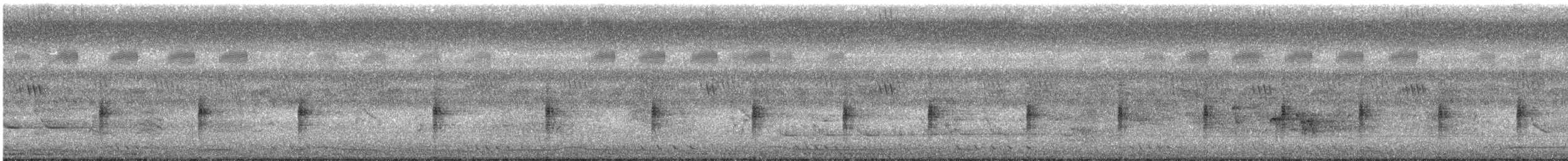 灰胸秧雞 - ML620373714