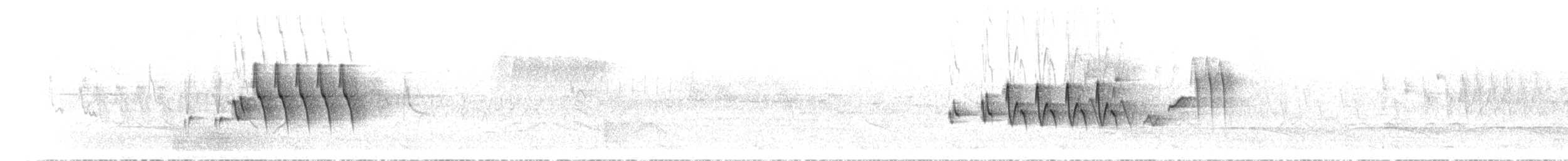 Скриточуб сичуанський - ML620373801