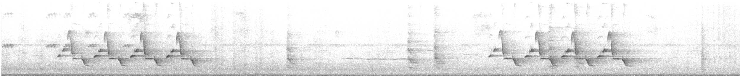 Поплітник каролінський - ML620373812