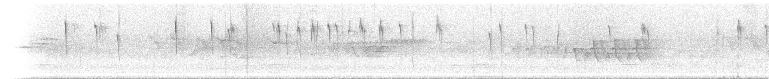 Orite de Blyth (bonvaloti/obscuratus) - ML620373840