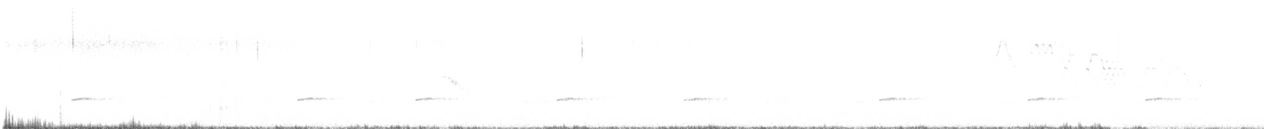 Bicknell Bülbül Ardıcı - ML620373918