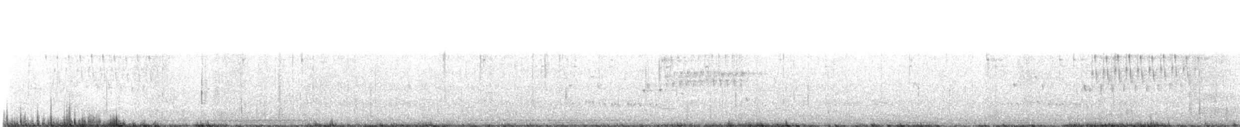 Поплітник каролінський - ML620374154