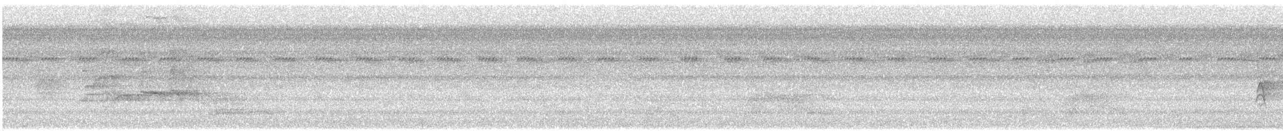 Kara Karınlı Islıkçı Ördek - ML620379452
