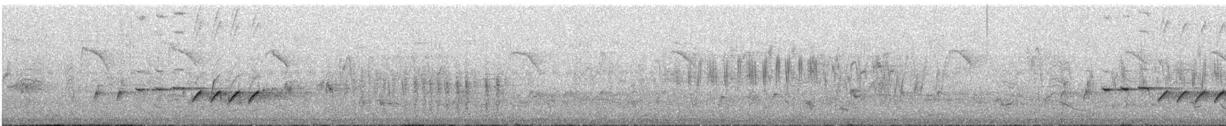 svarthodelarveeter - ML620380375