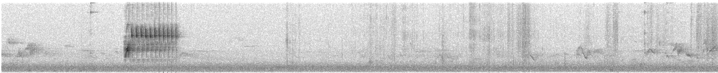 Тауї плямистий - ML620381302