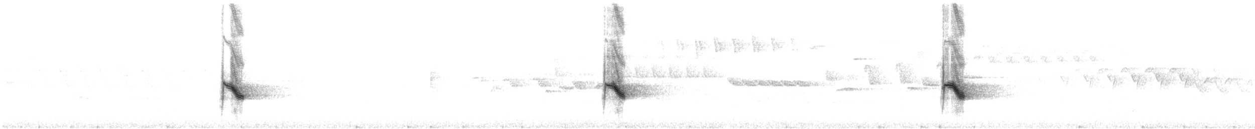 Дрізд-короткодзьоб канадський - ML620382349