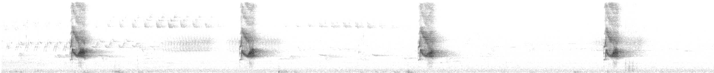 Bicknell Bülbül Ardıcı - ML620382474