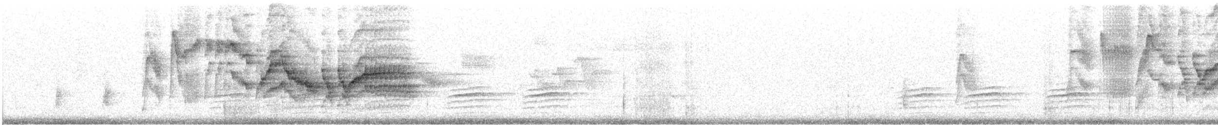 Дрізд-короткодзьоб канадський - ML620382802