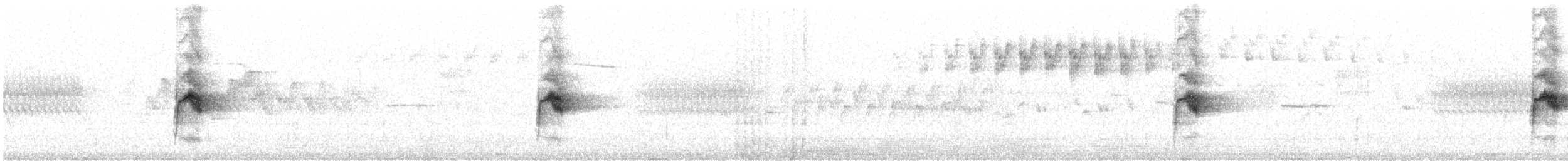 Bicknell Bülbül Ardıcı - ML620383141