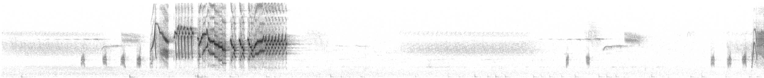 Bicknell Bülbül Ardıcı - ML620383624
