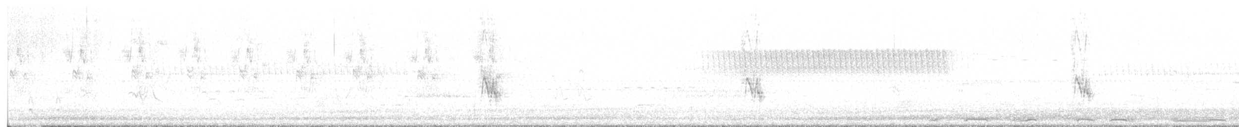 Белокрылая горлица - ML620384574