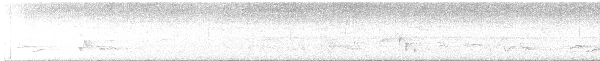 Piranga vermillon - ML620386658