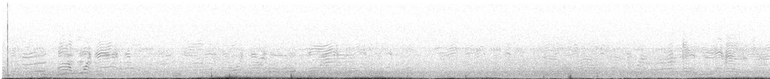buřňák šedý (ssp. borealis) - ML620394037