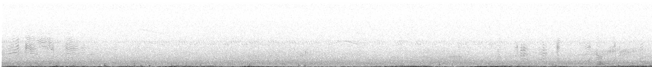 buřňák šedý (ssp. borealis) - ML620394045