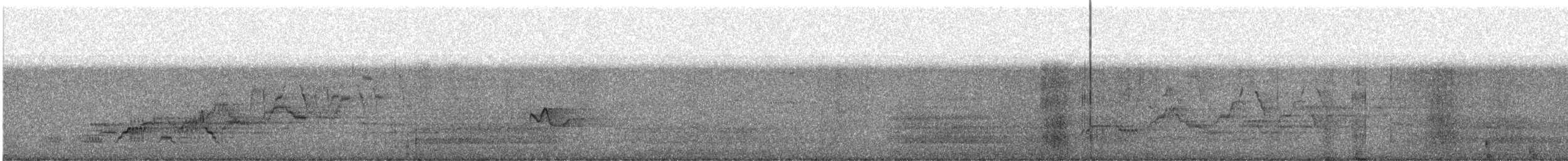 Дрізд-короткодзьоб Cвенсона - ML620394451