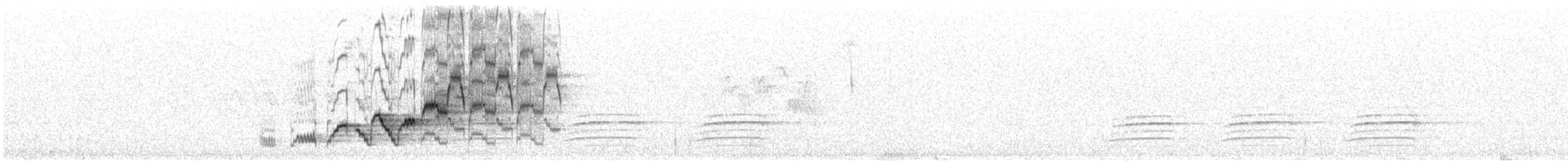 Дрізд-короткодзьоб Cвенсона - ML620394658