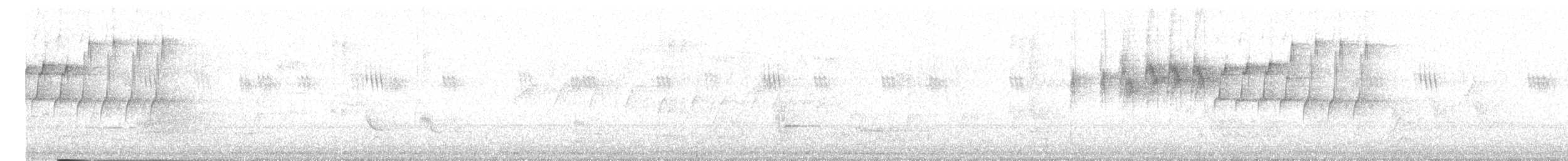 Атласная нектарница - ML620395708