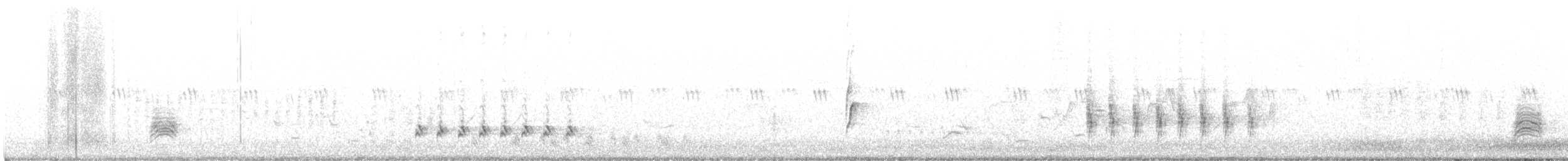 Flötenstärling (auricollis) - ML620398326