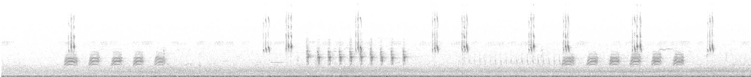 Flötenstärling (auricollis) - ML620398352