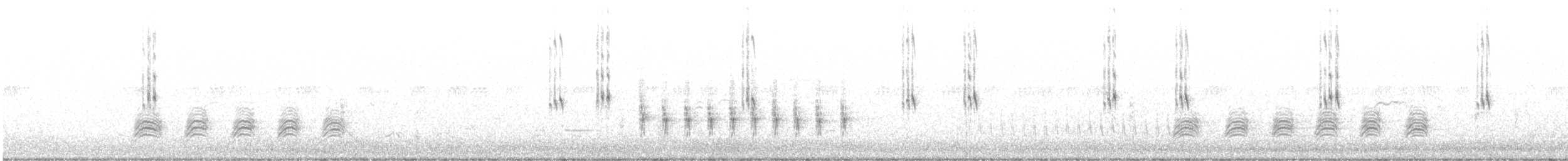 gulbrystparula (auricollis) - ML620398352