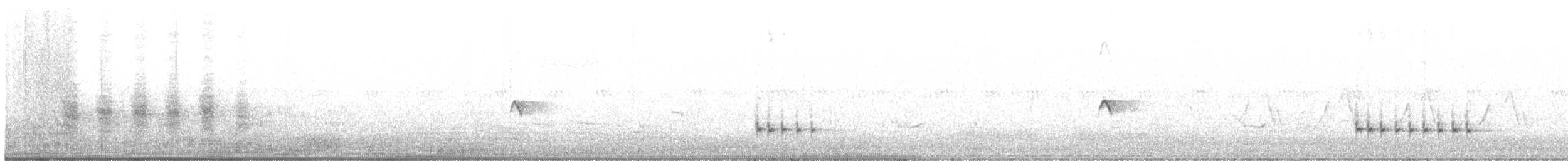 Ictérie polyglotte (auricollis) - ML620398581