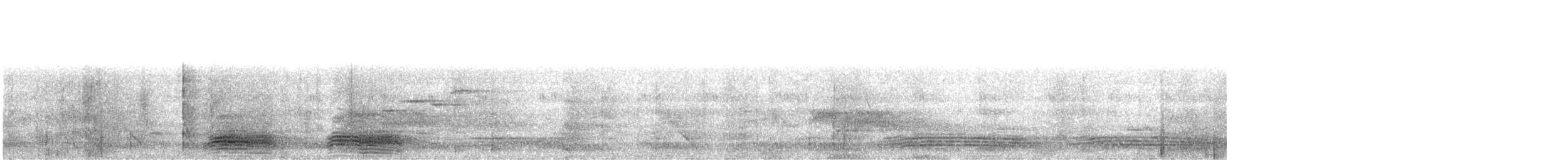 Cuervo Picudo (levaillantii) - ML620402538