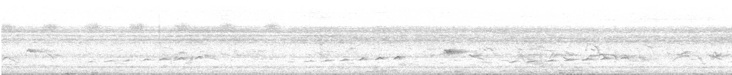Çatal Kuyruklu Drongo Guguğu - ML620403228