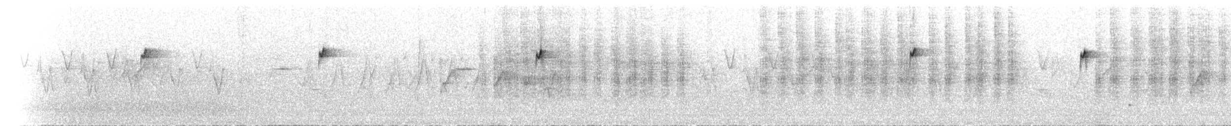 Серогорлая зарничка - ML620403739