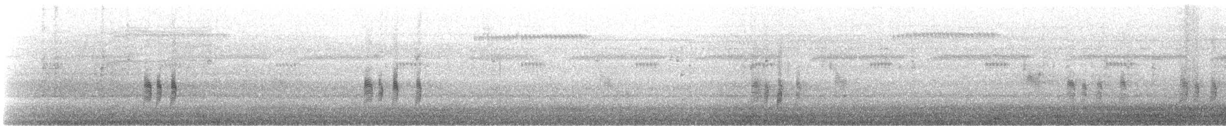 Antillennachtschwalbe - ML620406828