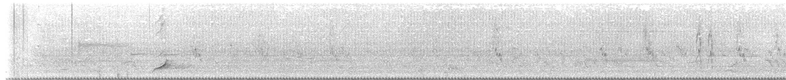 křepel virginský - ML620409591