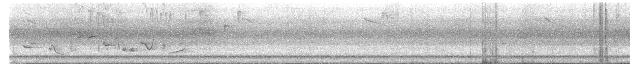 Oriole des vergers - ML620410162