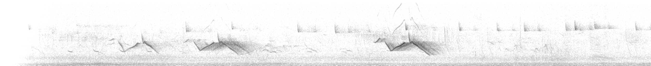 Common Rosefinch - ML620410911