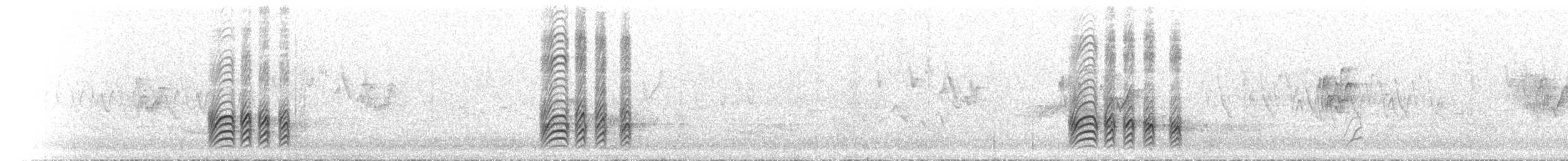 ハジロクロシメ - ML620410936