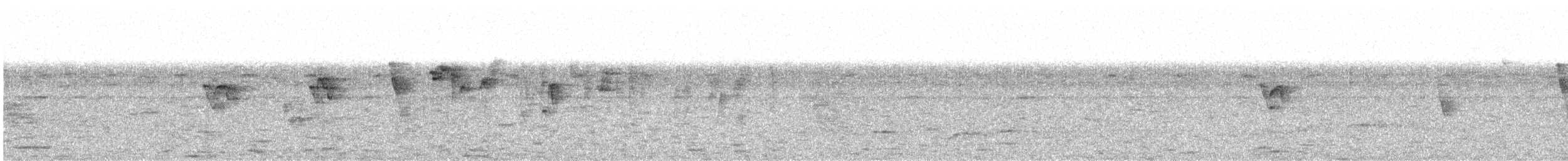 White-tailed Blue Flycatcher - ML620411112