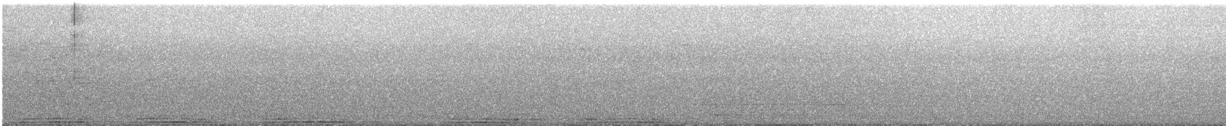 holub skalní (domácí) - ML620412701