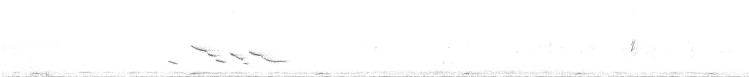 Chihuahuan Meadowlark - ML620415989