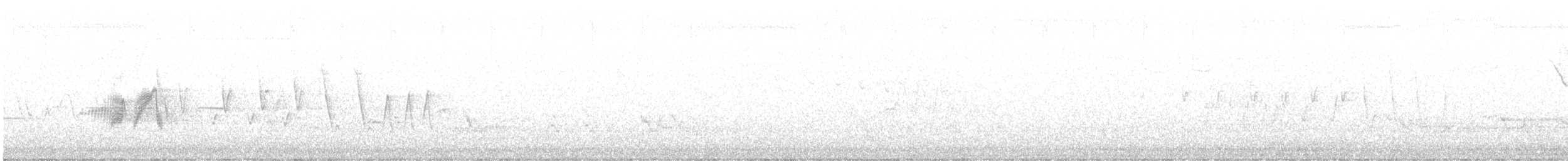 tyranovec olšový - ML620416112