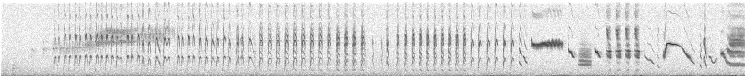 Linotte mélodieuse - ML620416981