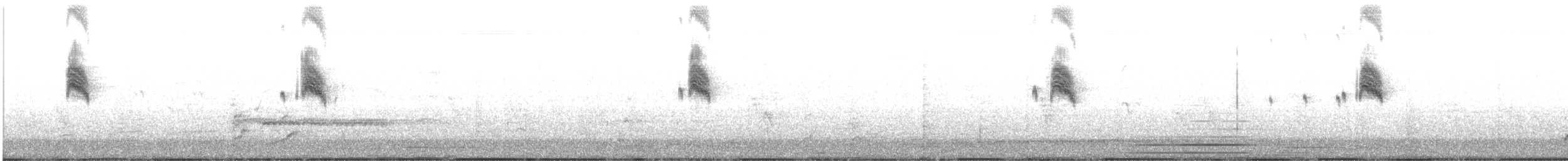 Tirano Oriental - ML620419334